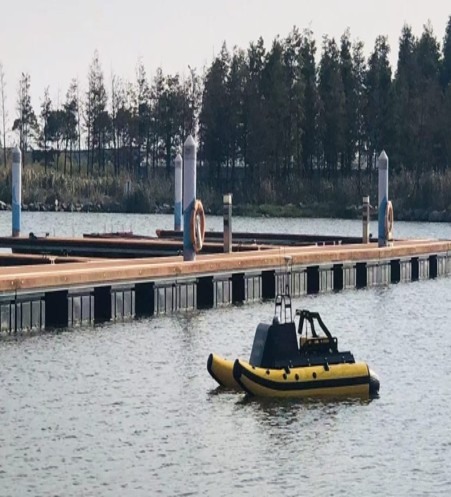 Unmanned Survey Vessel